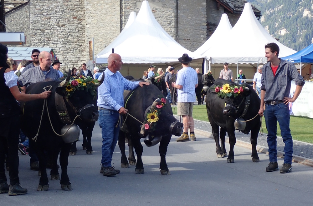 Festiviteiten in September